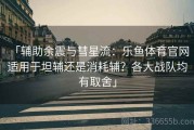 「辅助余震与彗星流：乐鱼体育官网 适用于坦辅还是消耗辅？各大战队均有取舍」