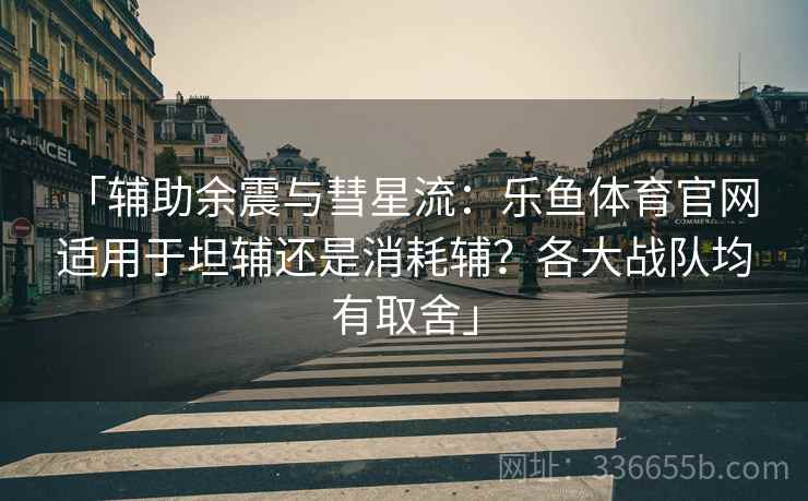「辅助余震与彗星流：乐鱼体育官网 适用于坦辅还是消耗辅？各大战队均有取舍」