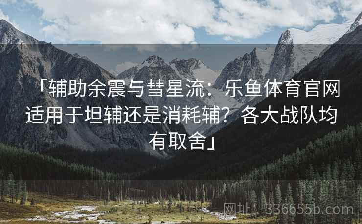 「辅助余震与彗星流：乐鱼体育官网 适用于坦辅还是消耗辅？各大战队均有取舍」