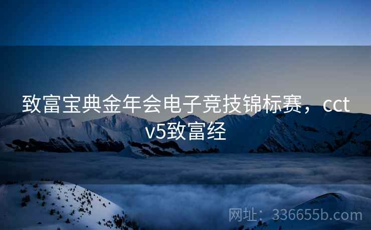 致富宝典金年会电子竞技锦标赛，cctv5致富经